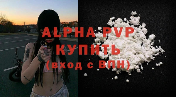 дурь Бородино