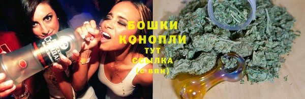 тгк Бронницы