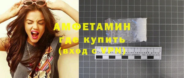 дурь Бородино