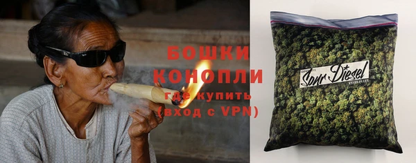 тгк Бронницы