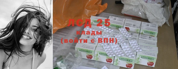 дурь Бородино